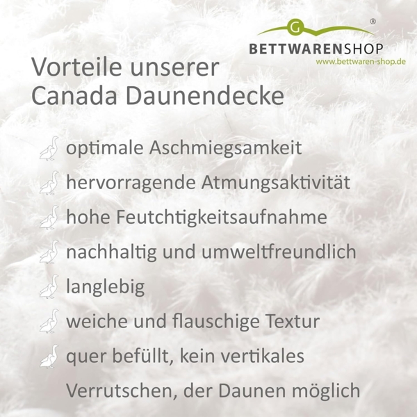 BETTWARENSHOP Daunenbettdecke Canada, Füllung: 100% Daunen, Bezug: 100% Baumwolle, bauschig weich und kuschlig warm Bild 5