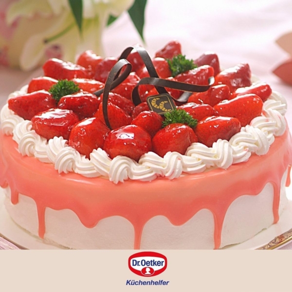 Dr. Oetker - Back-Liebe Emaille Garantieform 28cm Hebeboden Rund- Backform 2363 Bild 2