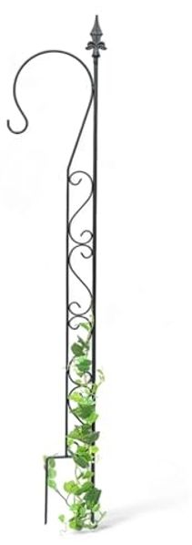 DanDiBo Rankhilfe Garten Metall mit 1 Halter Schwarz Rankgitter für Kletterpflanzen 145 cm Kletterhilfe mit Haken