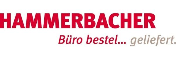 Sitz-Steh-Schreibtisch elektrisch 180x80 cm Buche/Silber Bild 2