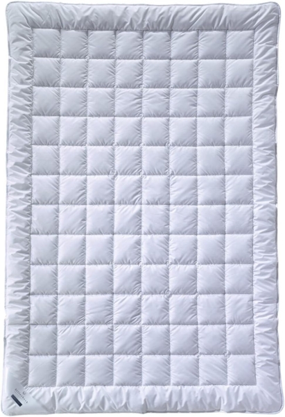 billerbeck Seidendecke E47 Sundream 135x200