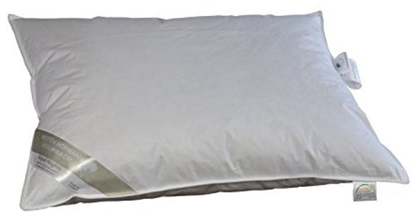 Betten Hofmann Kinder Daunenkissen 40x60 cm medium 100 g ungesteppt 100% Daunen