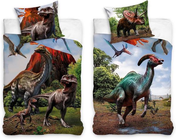 Dinosaurier Kinderbettwäsche Set für Jungen 135x200 80x80 cm mit Dinos T-Rex, Triceratops u. a. aus 100% Baumwolle