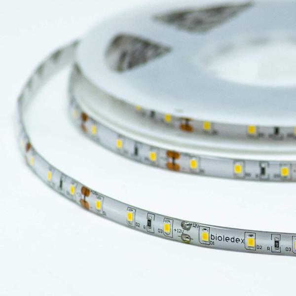 Bioledex LED Streifen 12V 12W/m 60LED/m 5000K IP65 5m Rolle tageslichtweiss