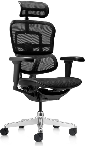 hjh OFFICE Bürostuhl ergonomisch ERGOHUMAN Ultra GEN2 Originales Design, Bürosessel mit Flexibler Lendenwirbelstütze, Netzbespannung, Schwarz