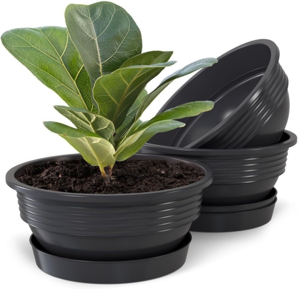 Plastard Pflanzschale 3er, 5er Set Blumenschale verschied. Größen Pflanzgefäß aus Kunststoff (Set, 3 St, Pflanzschale mit Untersetzer), UV-beständig, witterungsbeständig, Optionale Drainagelöcher