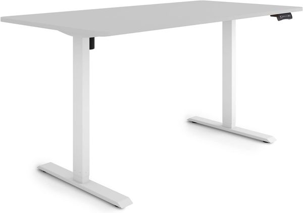 ESMART Germany ETX-121WG 160x80 cm Hellgrau Ergonomischer Steh-Sitz-Schreibtisch Stufenlos elektrisch höhenverstellbar 73,5-123,5cm 3X Memory Aktivitätserinnerung Soft-Start/Stopp Schnelle Montage