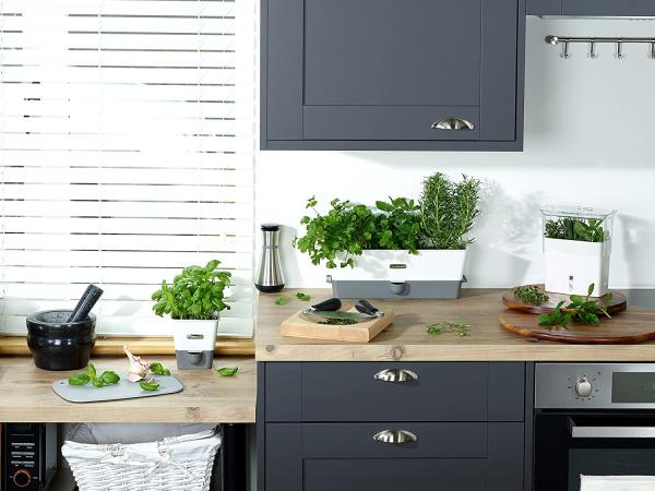 Cole & Mason Kräutertopf (Set, 3 St), Trio-Kräutertopf Bild 9