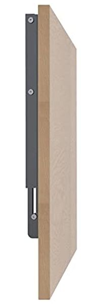 AKKE Klapptisch, Wandklapptisch Wandtisch Küchentisch Schreibtisch Hängetisch 2mm PVC Bild 5