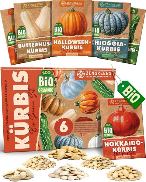 ZenGreens® - Bio Kürbissamen im 6er Set - 6 Kürbis Samen für den einfachen Anbau im Garten, Balkon oder Hochbeet - Pflanzensamen - Saatgut