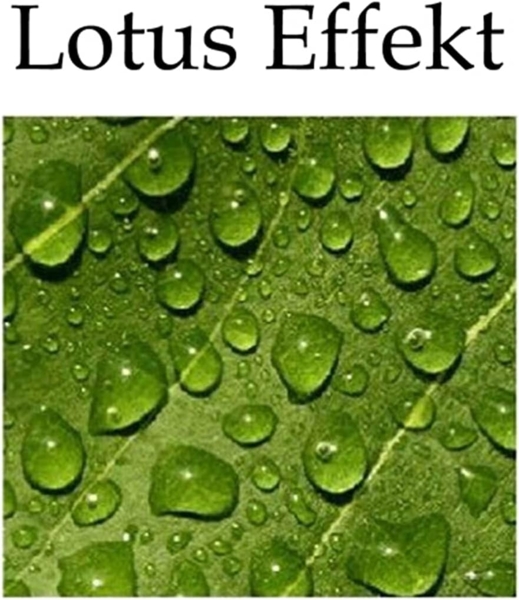 heimtexland Dekokissen Outdoorkissen 45x45 Outdoor Garten Deko Kissen, Lotus Effekt, schmutz- und wasserabweisend, inkl. Füllung Bild 3