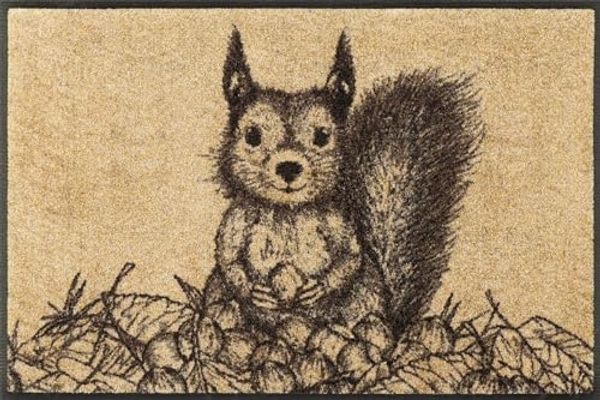 Squirry