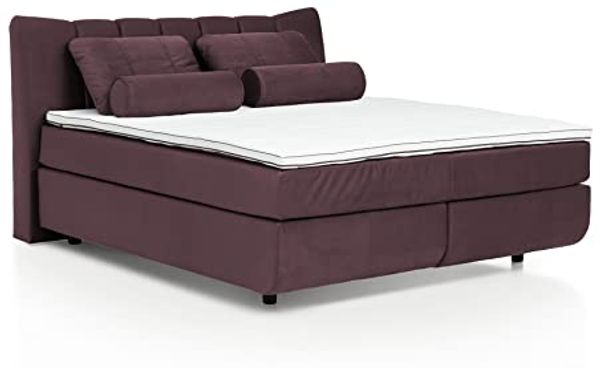 Mivano Free Boxspringbett/Bett mit 7-Zonen-Taschenfederkern-Matratze und Premium Topper/Härtegrad H2 + H4, Velours Cosy Lila, Liegefläche 180x200 cm