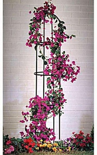 Rosensäule 185x40 cm