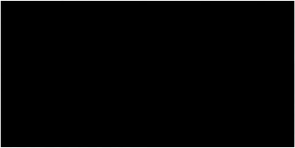 vidaXL Poolabdeckung Schwarz 549x274 cm PE 92165