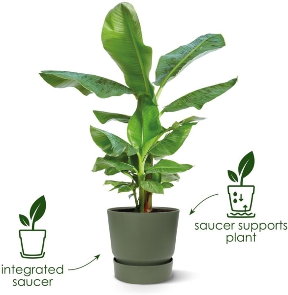 elho Greenville Rund 20 - Blumentopf für Innen und Außen - Selbstbewässerungstopf - 100% recyceltes Plastik - Ø 19.5 x H 18.4 cm - Lila/Vintage Pflaume Bild 2