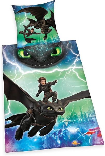 Herding DREAMWORKS DRAGONS Bettwäsche-Set, Wendemotiv, Bettbezug 140x200 cm, Kopfkissenbezug 70x90 cm, Baumwolle/Renforcé