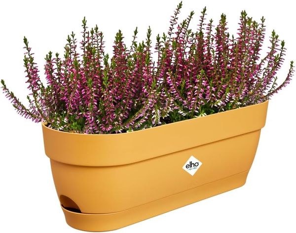 elho Vibia Campana Balkonkasten 50 mit Wasserreservoir - Blumentopf Balkon - 100% recyceltes Plastik - Ø 49.0 x H 17.0 cm - Gelb/Honig Gelb