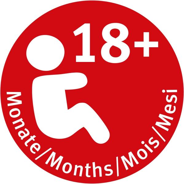 roba Kindersitzgruppe 'Rennfahrer' - 2 Kinderstühle & 1 Tisch - mit Fahrzeug-Motiven - Blau / Weiß Bild 6