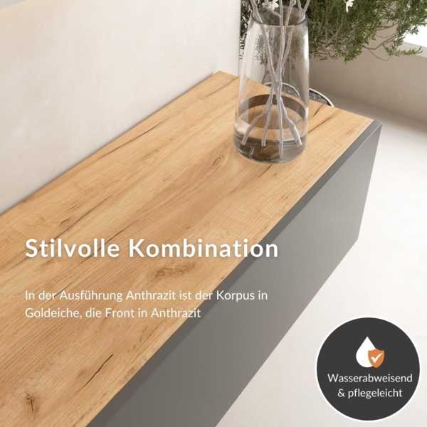 Planetmöbel TV Board 320 cm Gold Eiche/Anthrazit, TV Schrank mit 4 Klappen als Stauraum, Lowboard hängend oder stehend, Sideboard Wohnzimmer Bild 7