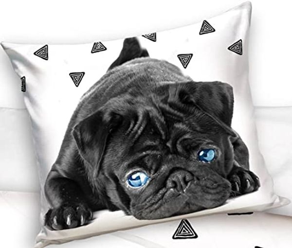 Carbotex Bettwäsche Mops-Welpe - Hunde-Bettwäsche-Set mit Wendemotiv, 135x200 & 80x80, Baumwolle, 100% Baumwolle Bild 2