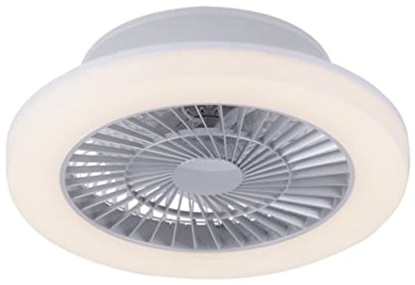 LED Deckenventilator, stahlfarben, 50 cm, LEONARD