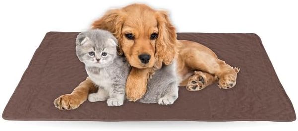 Bestlivings Tierdecke gesteppte Haustierdecke S-XL, Polyester, Haustiermatte - perfekt für Katzen bis große Hunde - Steppdecke