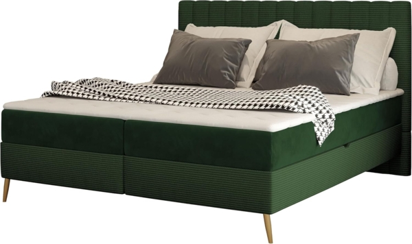 Boxspringbett Cersen Cord grün 180x200 cm