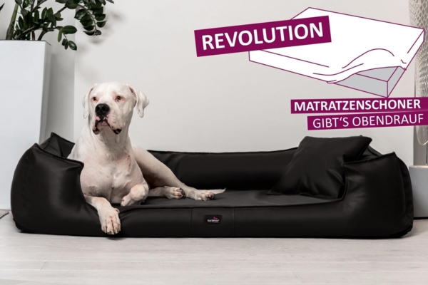 GOOFY EASY CLEAN Orthopädisches Hundebett - 160x110cm, 03 Schwarz Bild 2