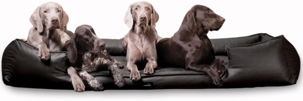 GOOFY EASY CLEAN Orthopädisches Hundebett - 160x110cm, 03 Schwarz Bild 8