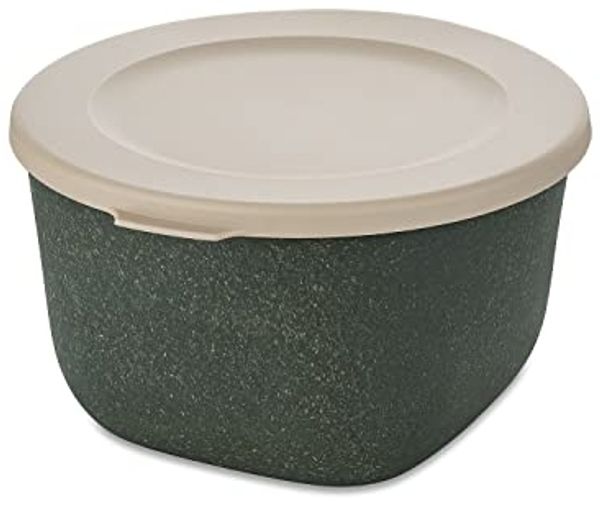 Koziol Dose Connect Box mit Deckel, Schüssel, Schale, Kunststoff-Holz-Mix, Nature Ash Grey, 1 L, 7870701