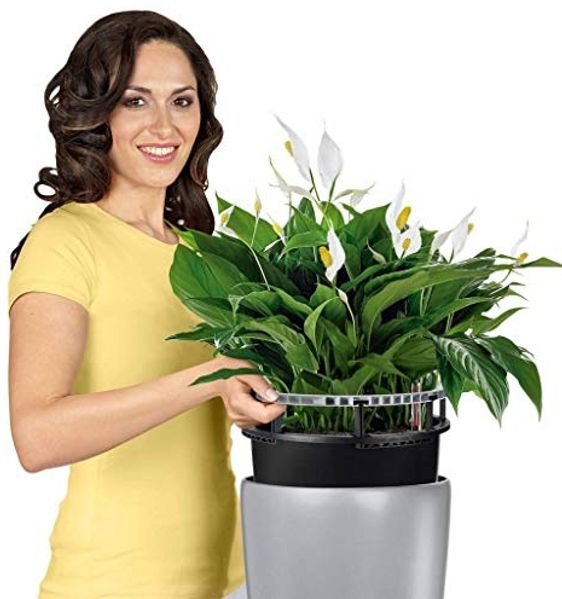 Lechuza® Pflanzkübel Lechuza Pflanzgefäß Rondo 32 schwarz hochglanz 157 Bild 4