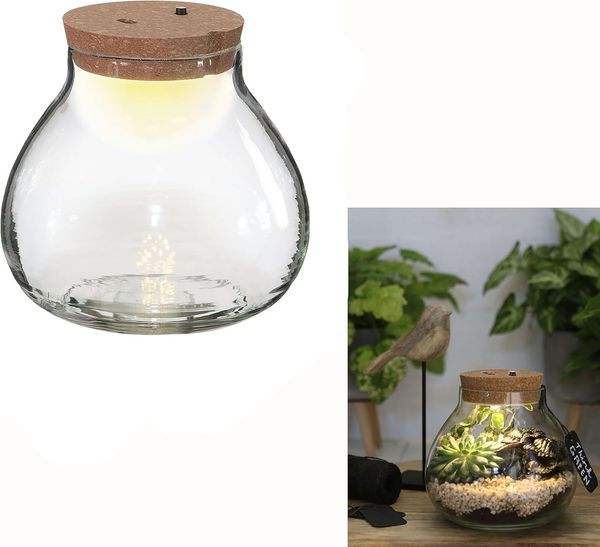 Annastore Übertopf Pflanz-Terrarium mit LED-Beleuchtung - Pflanzenglas - Flaschengarten, Pflanzenterrarium, Glas-Terrarium