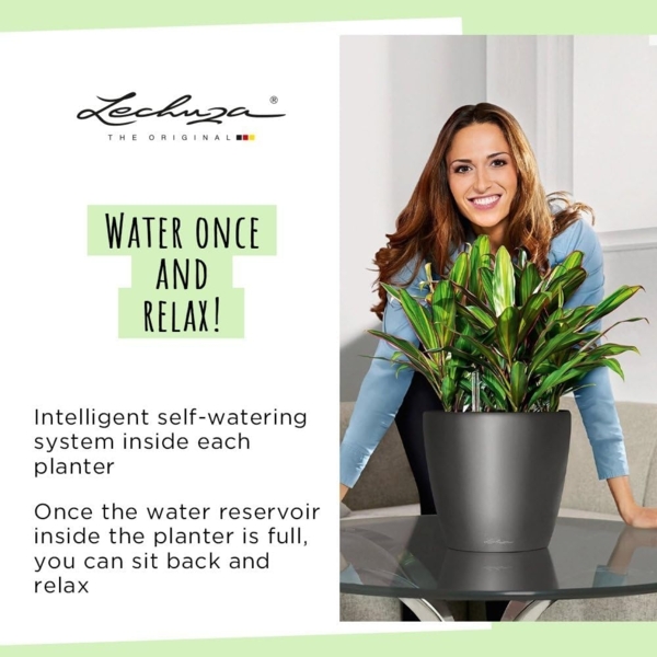 LECHUZA CLASSICO Premium LS 43 schwarz hochglanz 16089 Bild 8