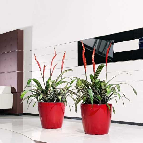 LECHUZA CLASSICO Premium LS 43 schwarz hochglanz 16089 Bild 2