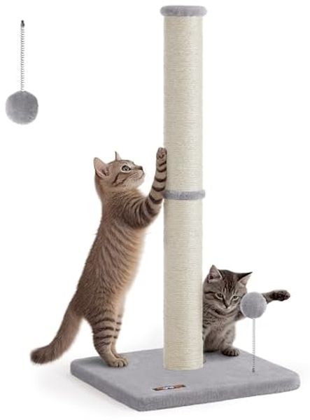 Feandrea Kratzbaum, 85 cm hoch, Kratzsäule, Katzenbaum, Kratzstamm für Kätzchen und Normale ausgewachsene Katzen, Sisalstamm, mit Plüschball und Glocke