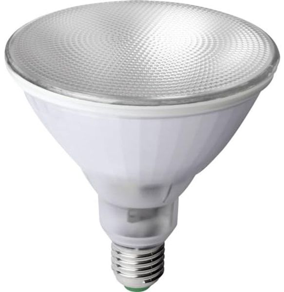 Megaman Pflanzenlampe Megaman LED-Pflanzenlampe LED Plant 133 mm 230 V E27 12 W Reflektor