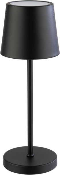 APS LED Tischleuchte "MERLE MINI" Kabellose USB-C Tischleuchte, USB-Ladefunktion, LED fest integriert, warmweiß - kaltweiß, Spritzwasssergeschützt IP 54, inkl. Dockinstation und Fernbedienung