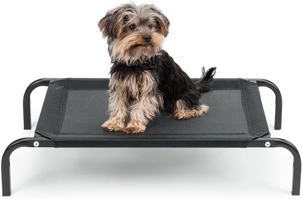 lionto Hundebett erhöht, Outdoor Hundeliege, Mesh-Material, bequem, luftig & wetterfest