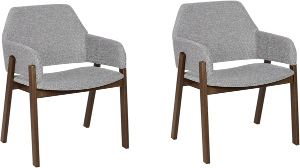 Esszimmerstuhl 2er Set ALBION Grau