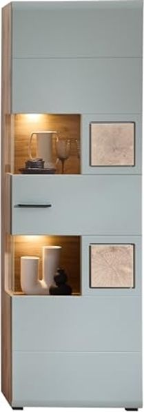 Vitrine >Kathlin< 1 Tür, inkl. LED, schilfgrün / Eiche Dekor - 65x205x37 (BxHxT)
