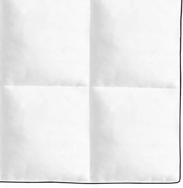 vidaXL Winter-Daunendecke 2 Stk. 155x220 cm 132889 Bild 2