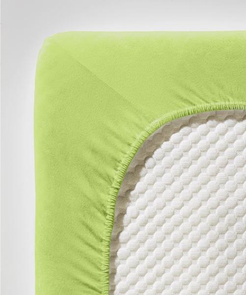 fleuresse Jersey-Elasthan Spannbettlaken Comfort 200x200 cm Apfelgrün