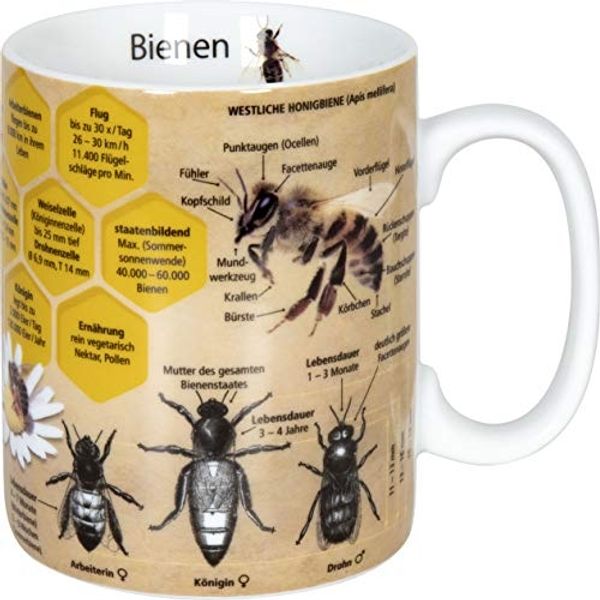 KÖNITZ 1113302445 Wissensbecher BIENE 490 ml aus Porzellan / Motivbecher
