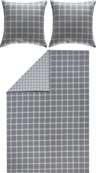Erwin Müller Bettwäsche Wendebettwäsche, Biber, 3 teilig, Flanell Karo