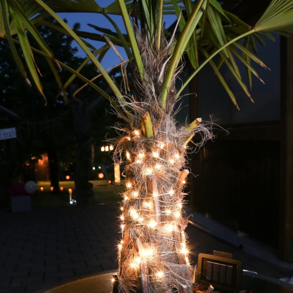 MARELIDA LED-Lichterkette LED Solar Lichterkette Draht 50 LED 4,9m Sensor Außen Garten Party, 50-flammig