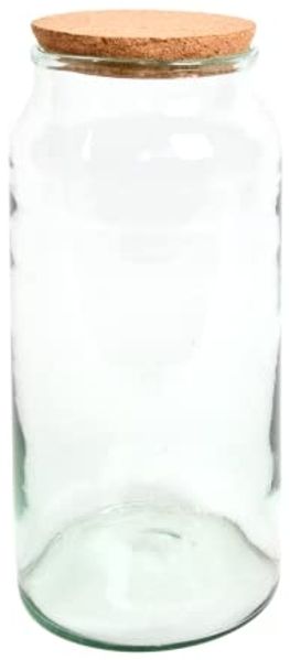 Pflanzen Terrarium aus Glas 10 L Deko Gewächshaus