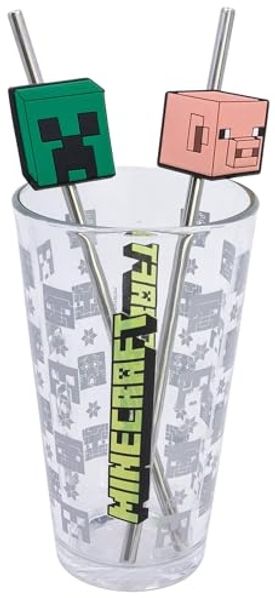 Minecraft Glas 480 ml mit 2 Edelstahl Trinkhalmen