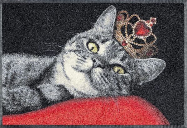 Royal Cat