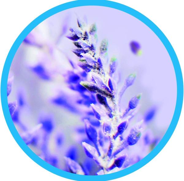 Gimi Junior Bügelbrett Bügeltisch Ironing Board 33 x 5 x 110 cm Baumwolle, für Dampfbügeleisen, Mehrfarbig Bild 7